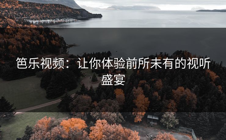 笆乐视频：让你体验前所未有的视听盛宴