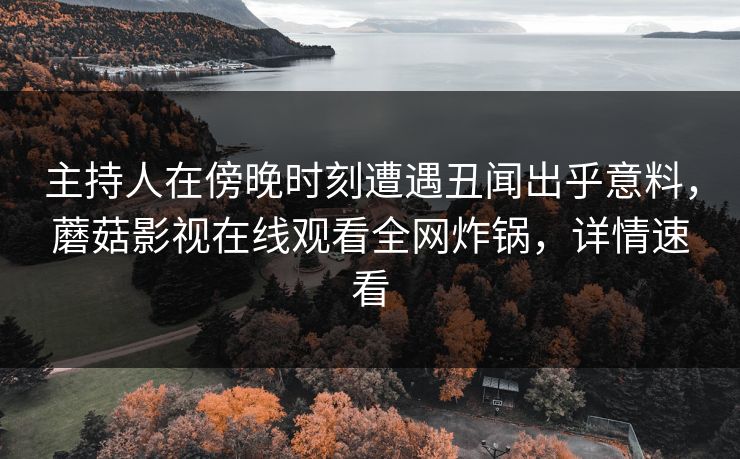 主持人在傍晚时刻遭遇丑闻出乎意料，蘑菇影视在线观看全网炸锅，详情速看