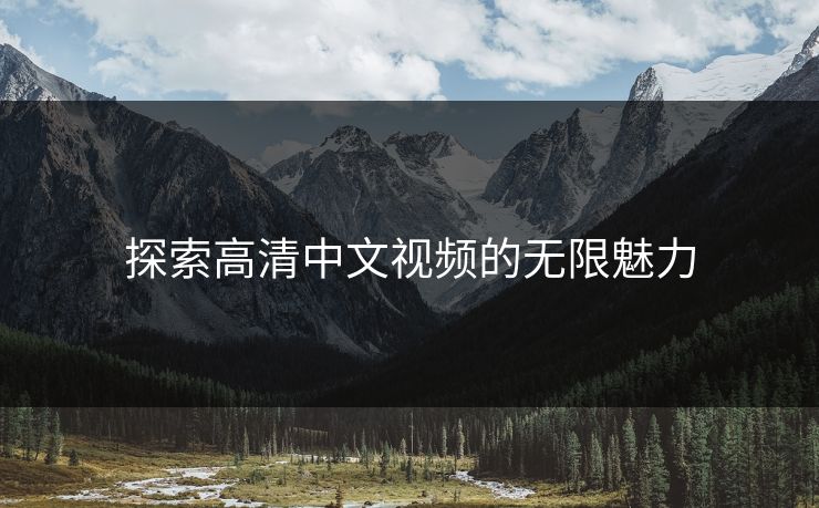 探索高清中文视频的无限魅力