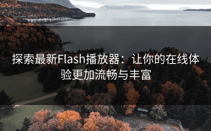 探索最新Flash播放器：让你的在线体验更加流畅与丰富