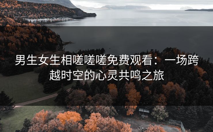 男生女生相嗟嗟嗟免费观看：一场跨越时空的心灵共鸣之旅