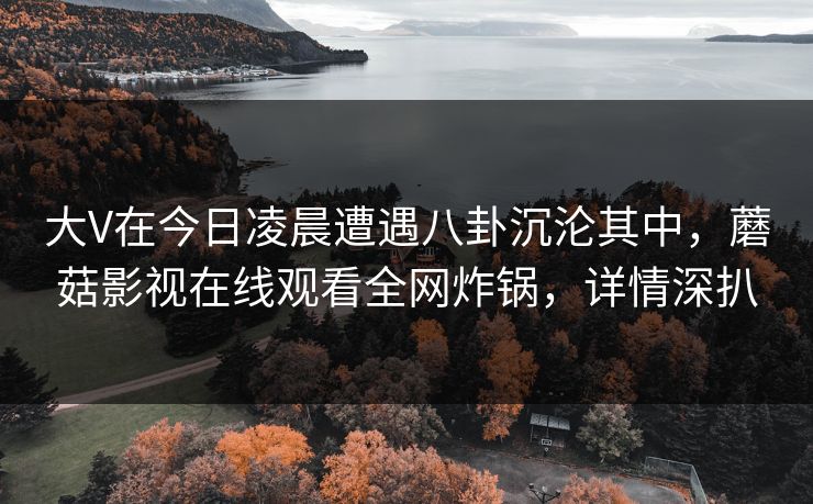 大V在今日凌晨遭遇八卦沉沦其中，蘑菇影视在线观看全网炸锅，详情深扒
