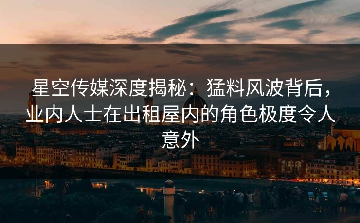 星空传媒深度揭秘：猛料风波背后，业内人士在出租屋内的角色极度令人意外